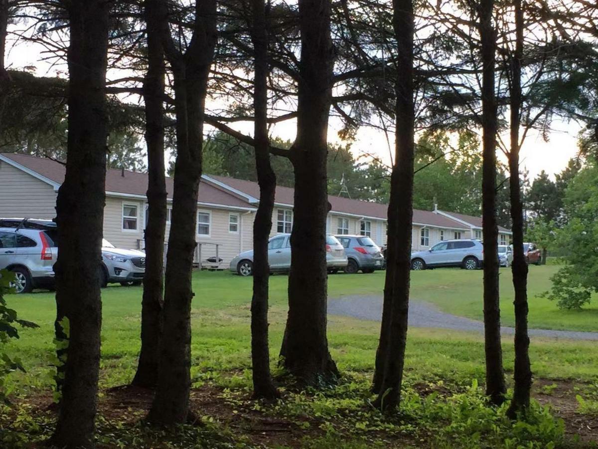 Rachel'S Motel And Cottages Surrey Exterior foto